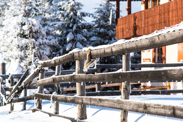 Schneebedecktes Land Mit Holzzaun — Stockfoto