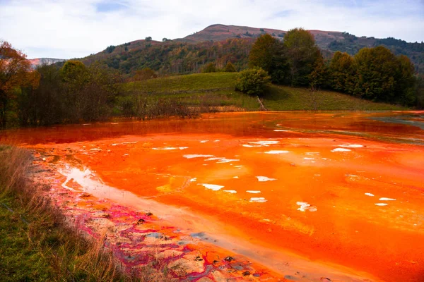 Impressionnante Vue Sur Nature Avec Rivière Couleur Orange Des Arbres — Photo