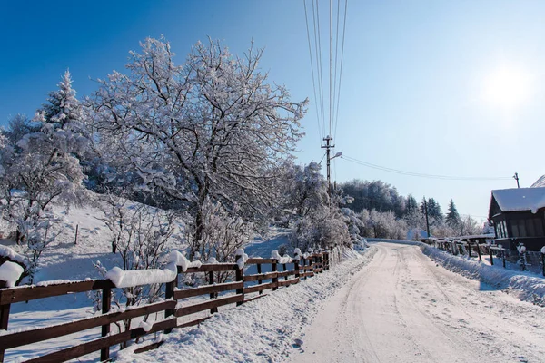 Śnieg Pokryte Oddziałów Sezon Zimowy Wsi Drewnianym Ogrodzeniem — Zdjęcie stockowe
