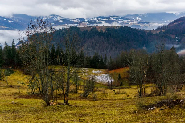 Vista Incrível Montanha Com Árvores Altas — Fotografia de Stock