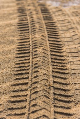 tekerlek lastik izi ile kumlu plaj