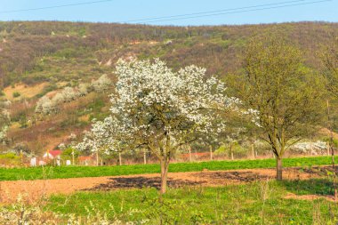 doğa manzara havadan görünümü 