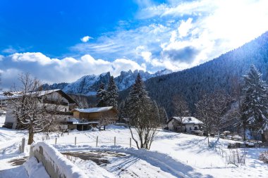 Yüksek ağaçlar ile Amazing dağ manzarası