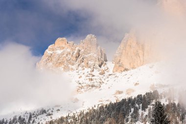 Karlı ağaçlar şaşırtıcı Doğa Manzaralı