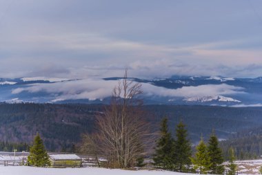 Bulutlu gökyüzü arka plan şaşırtıcı doğa manzaralı