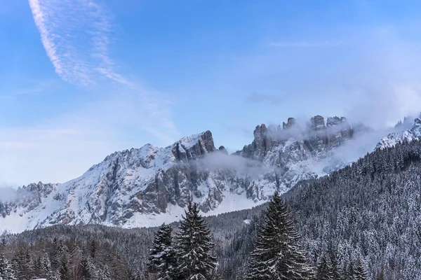 Amazing Nature View Snowy Trees — Stock Photo, Image