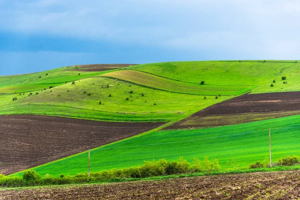 Luftaufnahme Der Naturlandschaft — Stockfoto