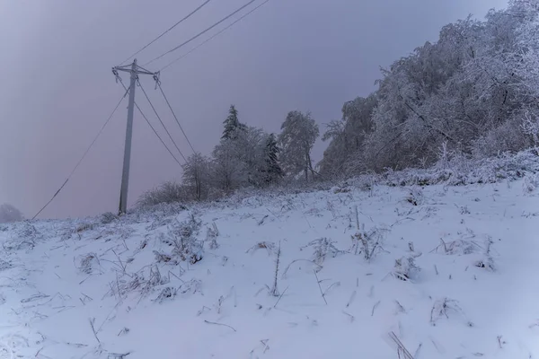 Дивовижний Вид Природу Сніговими Деревами — стокове фото