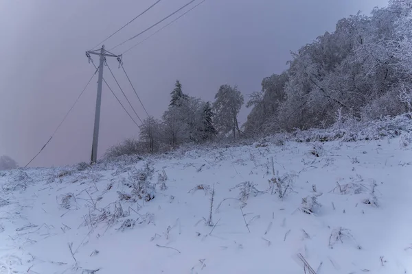 Csodálatos Természet Kilátás Havas Fák — Stock Fotó