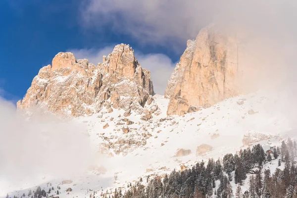 Vista Incrível Natureza Com Árvores Nevadas — Fotografia de Stock