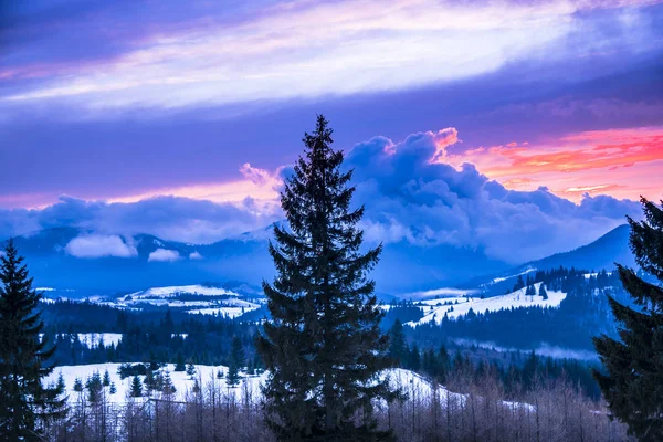 Violett Bewölkter Himmel Über Bergiger Landschaft Mit Kiefern — Stockfoto