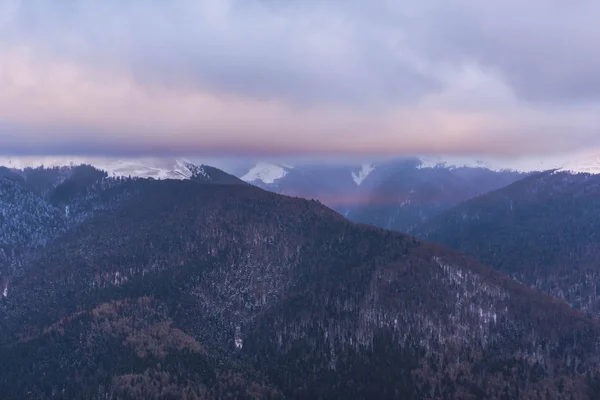 Podivuhodný Horský Výhled Pokrytý Načechraný Sníh Stromy — Stock fotografie