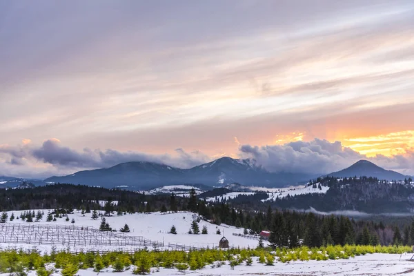 Increíble Vista Naturaleza Con Fondo Cielo Nublado — Foto de Stock