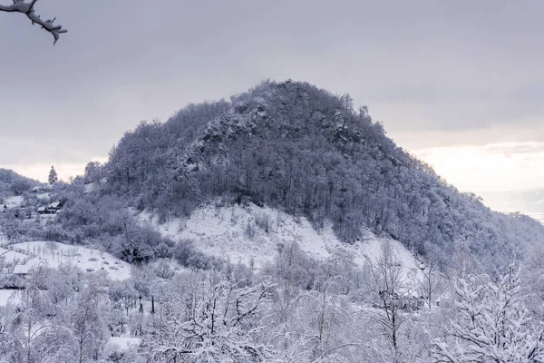 Atemberaubende Aussicht Auf Die Natur Mit Schneebedeckten Bäumen — Stockfoto