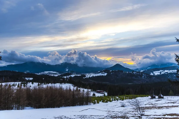 Increíble Vista Montaña Con Árboles Altos — Foto de Stock