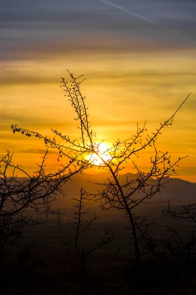 Cielo Naranja Brillante Puesta Sol Ramas Árboles — Foto de Stock