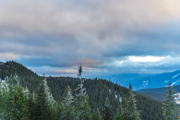 Increíble Vista Naturaleza Con Pinos Cielo Nublado — Foto de Stock