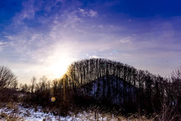 Zonsondergang Bewolkte Hemel Met Kale Bomen — Stockfoto