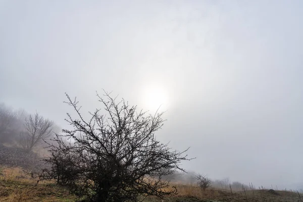 Luftutsikt Över Naturlandskapet — Stockfoto