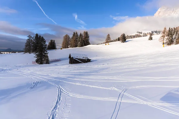 Increíble Vista Naturaleza Con Árboles Nevados —  Fotos de Stock