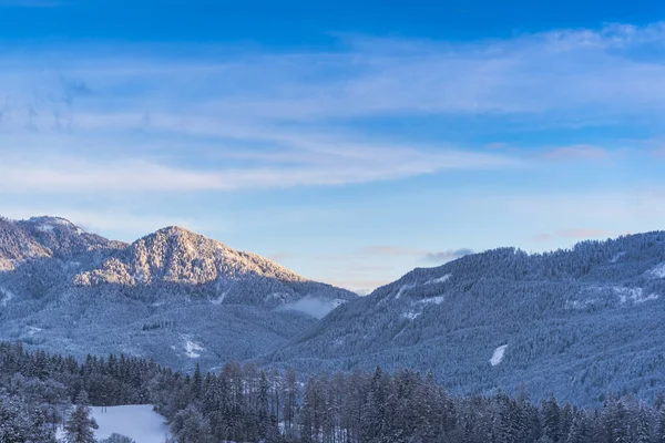 雪に覆われた木々 の素晴らしい自然の風景 — ストック写真