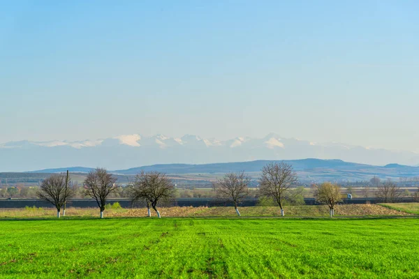 Luftaufnahme Der Naturlandschaft — Stockfoto