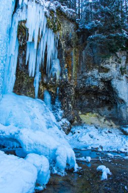 Doğa arka plan üzerinde büyük soğuk buz sarkıtları