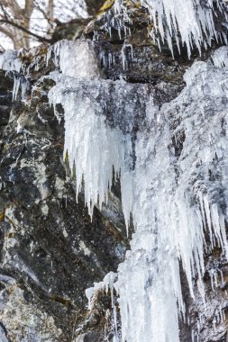 Doğa arka plan üzerinde büyük soğuk buz sarkıtları