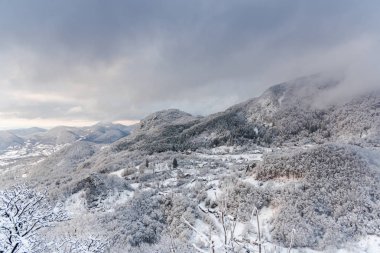 Karlı ağaçlar şaşırtıcı Doğa Manzaralı