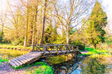 Parkta ahşap köprü