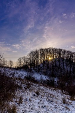 çıplak ağaçlar ile bulutlu gökyüzü günbatımı