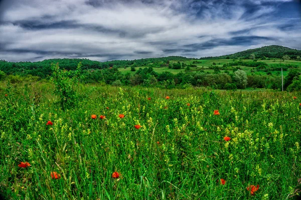 Increíble Vista Naturaleza Con Fondo Cielo Nublado — Foto de Stock