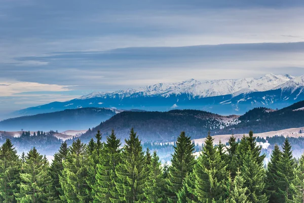 Increíble Vista Naturaleza Con Fondo Cielo Nublado — Foto de Stock