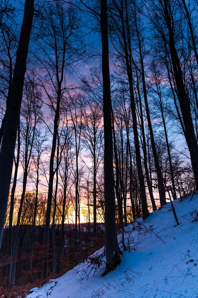 Incredibile Vista Sulla Natura Con Sfondo Cielo Nuvoloso — Foto Stock