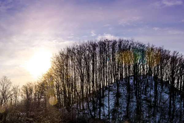 Закат Облачный Небо Голыми Деревьями — стоковое фото