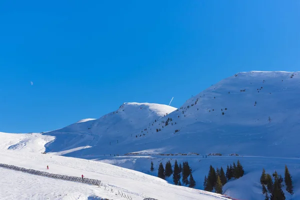 令人惊叹的山景覆盖着蓬松的雪和树木 — 图库照片