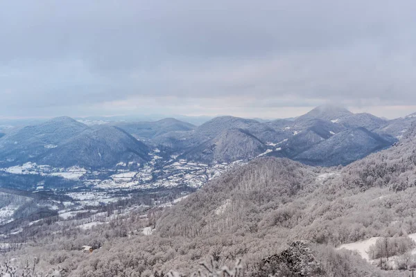 Vue Imprenable Sur Nature Avec Des Arbres Enneigés — Photo