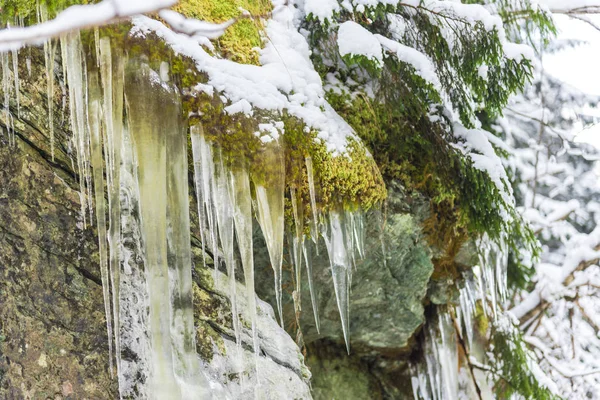 Ogromne Sople Zimno Tle Przyrody — Zdjęcie stockowe