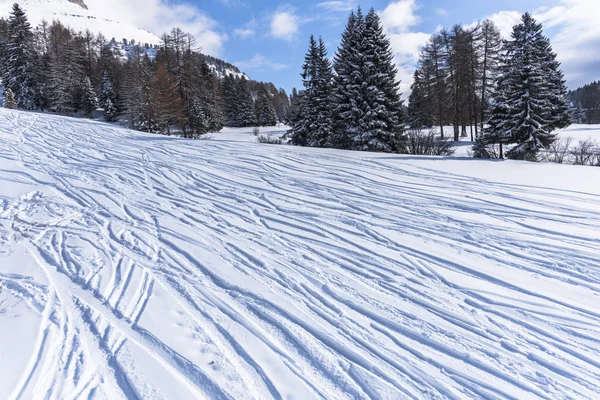 Increíble Vista Naturaleza Con Árboles Nevados —  Fotos de Stock