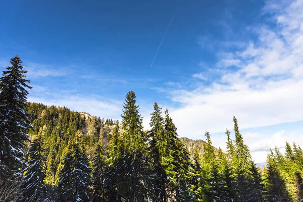 Prachtig Uitzicht Van Natuur Met Bewolkte Hemelachtergrond — Stockfoto