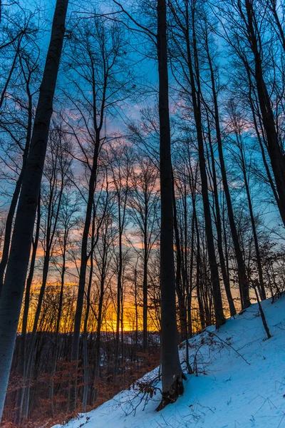 Красивий Схід Сонця Природа Мальовничий Вид — стокове фото