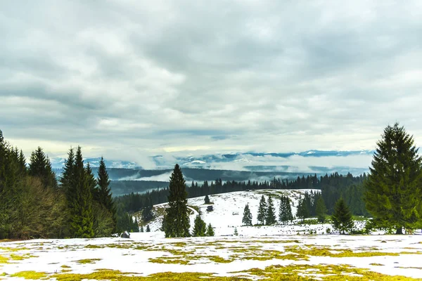 Increíble Vista Montaña Con Árboles Altos —  Fotos de Stock