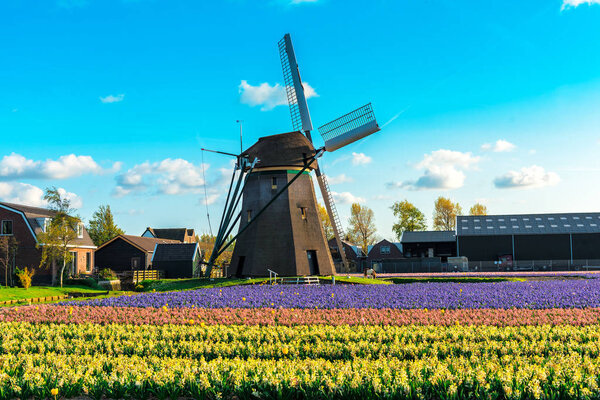 Old retro mill on bright field with colorful flowers