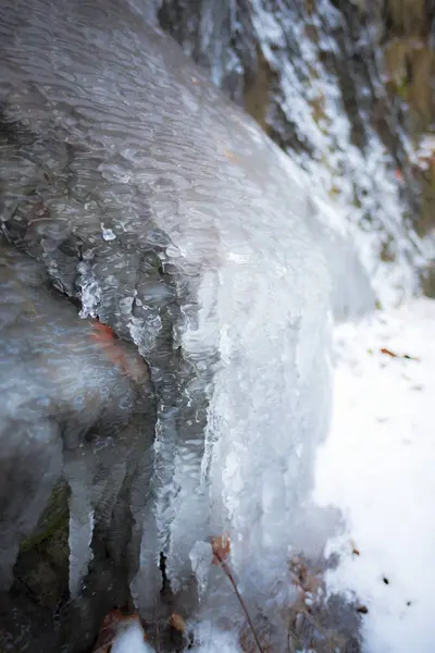 Frozen River Forest — Stock Photo, Image