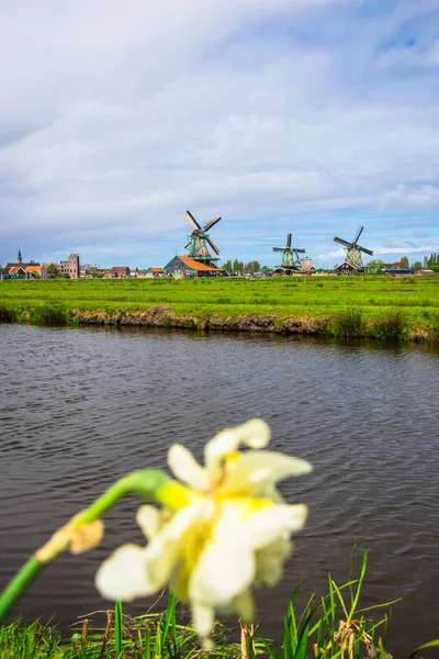 Viejos Molinos Viento Holland Hito —  Fotos de Stock