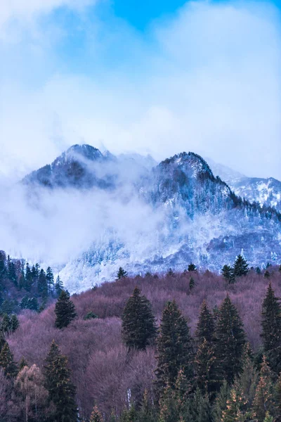 Snowy Mountainous Landscape Blue Sky Ski Slope — Stock Photo, Image