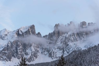 Çam ağaçları ve bulutlu gökyüzü arka plan şaşırtıcı doğa manzaralı