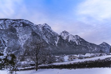 Karlı ağaçlar şaşırtıcı Doğa Manzaralı