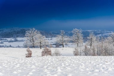 Karlı ağaçlar şaşırtıcı Doğa Manzaralı