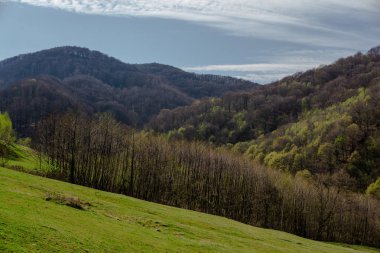 Büyüleyici doğa dağ manzaralı yeşillik ile